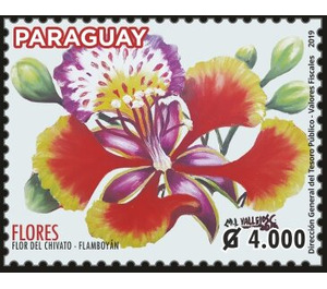 Flowers of Paraguay - South America / Paraguay 2019