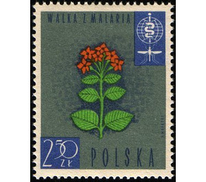 Flowers of the Cinchona succiruba - Poland 1962 - 2.50