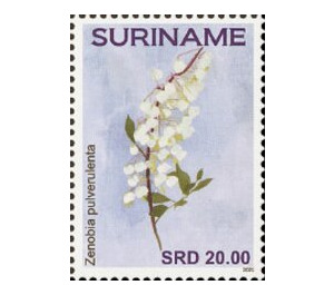 Flowers - South America / Suriname 2021