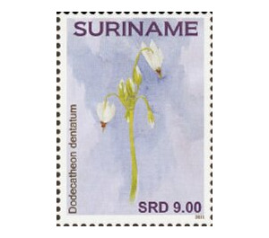 Flowers - South America / Suriname 2021