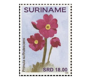 Flowers - South America / Suriname 2021