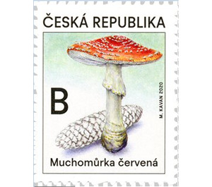 Fly Amanita (Amanita muscaria) - Czech Republic (Czechia) 2020