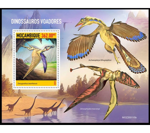 Flying Dinosaurs - East Africa / Mozambique 2020