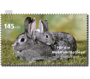 For the welfare: domestic animal  - Germany / Federal Republic of Germany 2007 - 145 Euro Cent