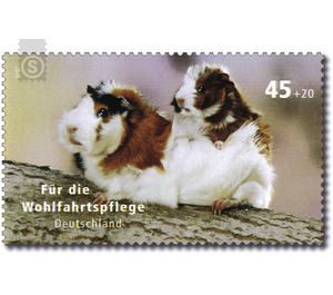 For the welfare: domestic animal  - Germany / Federal Republic of Germany 2007 - 45 Euro Cent