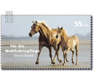 For the welfare: domestic animal - Germany / Federal Republic of Germany 2007 - 55 Euro Cent