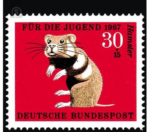 For the youth Endangered animals  - Germany / Federal Republic of Germany 1967 - 30 Pfennig