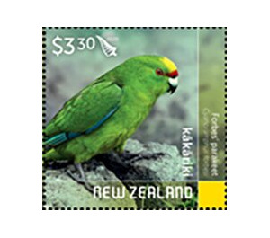 Forbes' Parakeet (Cyanoramphus forbesi) - New Zealand 2020 - 3.30