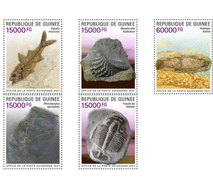 Fossils (2021) - West Africa / Guinea 2021 Set