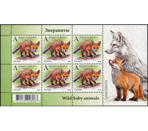 Fox Cub (Vulpes vulpes) - Belarus 2020