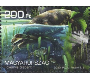 Foxemys trabanti - Hungary 2020 - 200