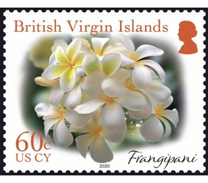 Frangipani - Caribbean / British Virgin Islands 2019 - 60