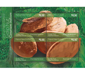 Fresh Galip Nut Kernels - Melanesia / Papua and New Guinea / Papua New Guinea 2019