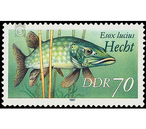 freshwater fish  - Germany / German Democratic Republic 1987 - 70 Pfennig