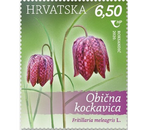 Fritillaria meleagris L - Croatia 2020 - 6.50
