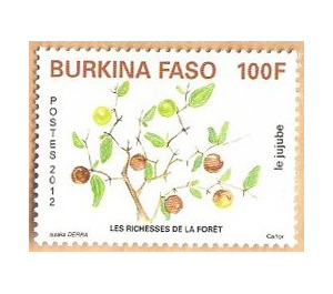 Fruits of the Forest - West Africa / Burkina Faso 2012 - 100