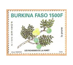 Fruits of the Forest - West Africa / Burkina Faso 2012