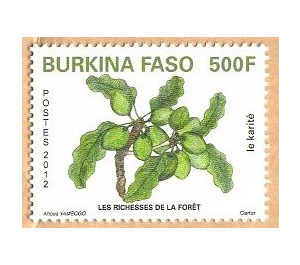 Fruits of the Forest - West Africa / Burkina Faso 2012 - 500