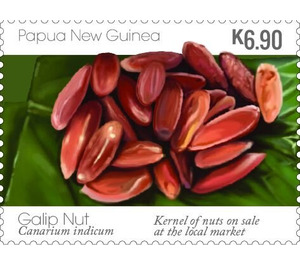 Galip Nut Kernels - Melanesia / Papua and New Guinea / Papua New Guinea 2019 - 6.90