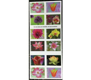 Garden Flowers booklet - United States of America