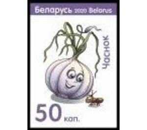 Garlic - Belarus 2020 - 50