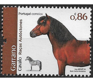 Garrano Horse - Portugal 2020 - 0.86