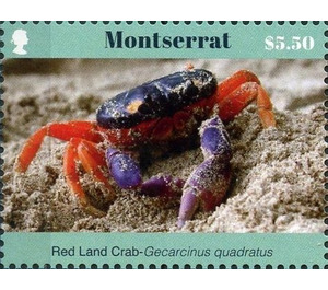 Gecarcinus quadratus - Caribbean / Montserrat 2017 - 5.50