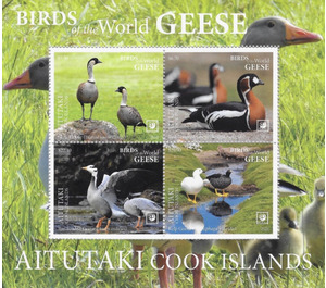 Geese - Aitutaki 2020