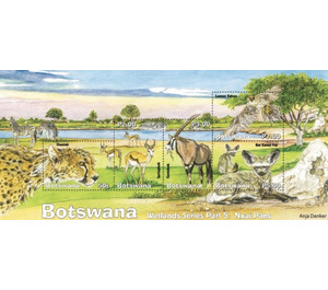 Gemsbok - South Africa / Botswana 2019