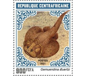 Gemuendina stuertzi - Central Africa / Central African Republic 2021 - 900