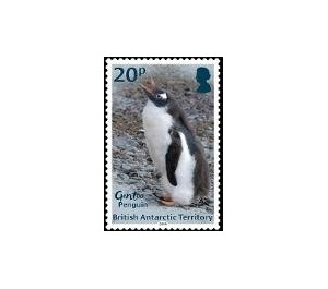 Gentoo Penguin - British Antarctic Territory 2018 - 20