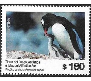 Gentoo Penguin (Pygoscelis papua) - South America / Argentina 2019 - 180