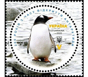 Gentoo Penguin (Pygoscelis papua) - Ukraine 2020