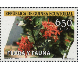 Geranio de la Jungla - Central Africa / Equatorial Guinea  / Equatorial Guinea 2016 - 650