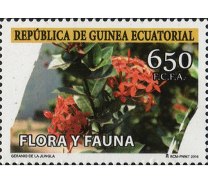 Geranio de la Jungla - Central Africa / Equatorial Guinea  / Equatorial Guinea 2016 - 650