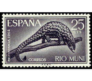 Giant Pangolin (Manis gigantea) - Central Africa / Equatorial Guinea  / Rio Muni 1964 - 25