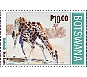 Giraffe (Giraffa giraffa) - South Africa / Botswana 2020 - 10