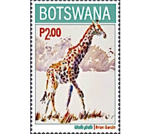 Giraffe (Giraffa giraffa) - South Africa / Botswana 2020 - 2