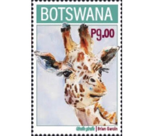 Giraffe (Giraffa giraffa) - South Africa / Botswana 2020 - 9