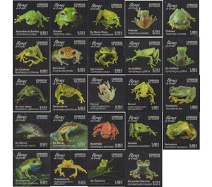 Glass Frogs (Centrolenidae) - South America / Ecuador 2019 Set