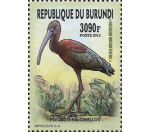 Glossy Ibis (Plegadis falcinellus) - East Africa / Burundi 2016