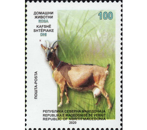 Goat - Macedonia 2020 - 100