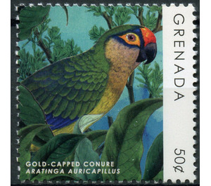 Gold-Capped Conure (Aratinga auricapillus) - Caribbean / Grenada 2019 - 50