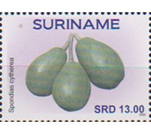 Golden Plum (Spondias cytherea) - South America / Suriname 2020 - 13