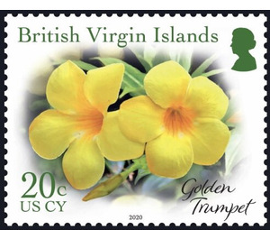 Golden Trumpet - Caribbean / British Virgin Islands 2019 - 20