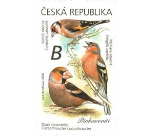 Goldfinch, Chaffinch and Hawfinch - Czech Republic (Czechia) 2020