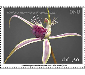 Grand Spider Orchid (Caladenia huegelii) - UNO Geneva 2021 - 1.50