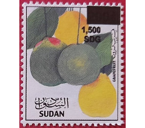 Grapefruit (Citrus × paradisi) - North Africa / Sudan 2021