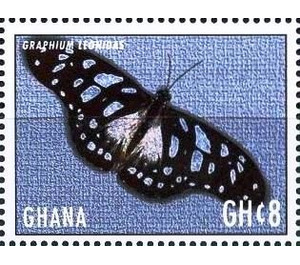 Graphium leonidas - West Africa / Ghana 2017 - 8