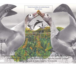 Great Albatross (Diomedea) - French Australian and Antarctic Territories 2020